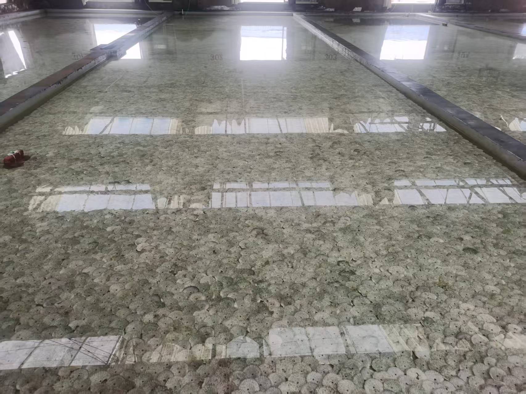 省协会秘书处前往如东地区开展紫菜育苗调研工作